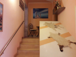 Apartmenthaus Vivien Kustici (Insel Pag)