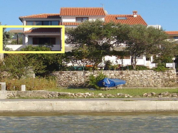 Apartments  ALF Rab Kampor (Island Rab)